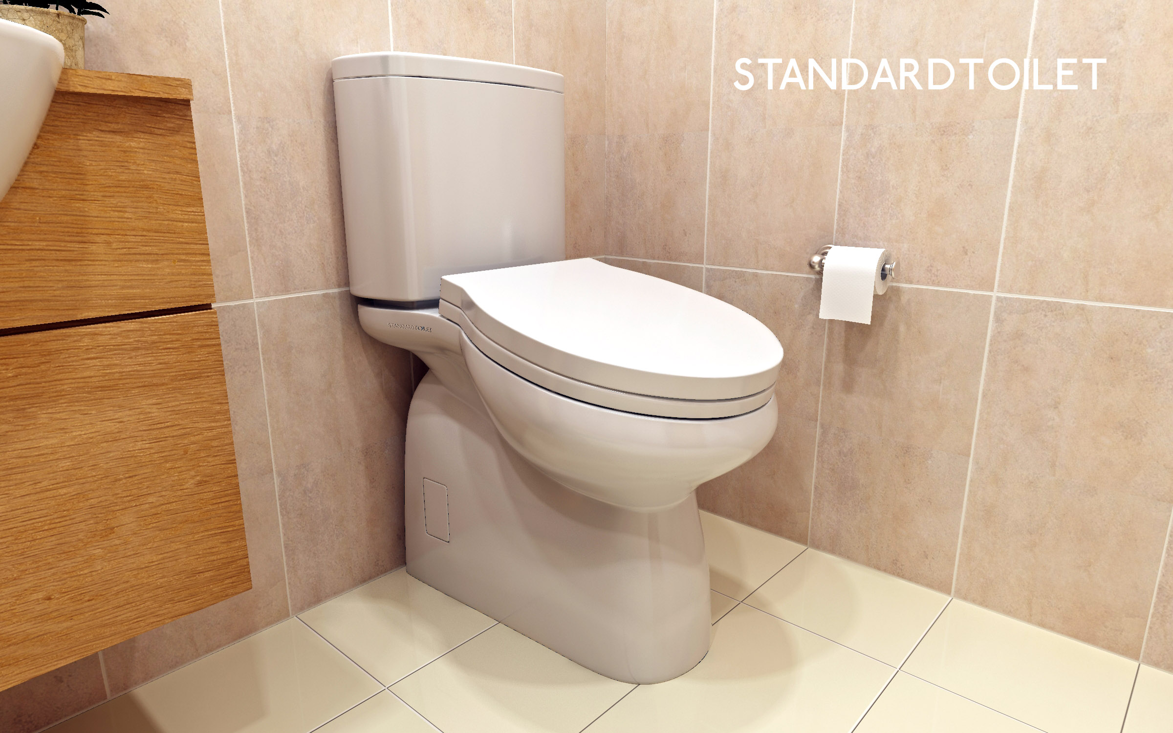 The New Standard Toilet British Toilet Association